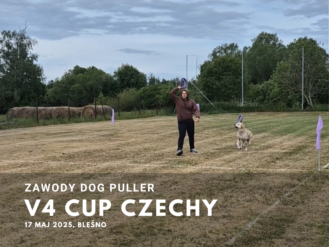 DOG PULLER V4 CUP 2025 – CZECHY